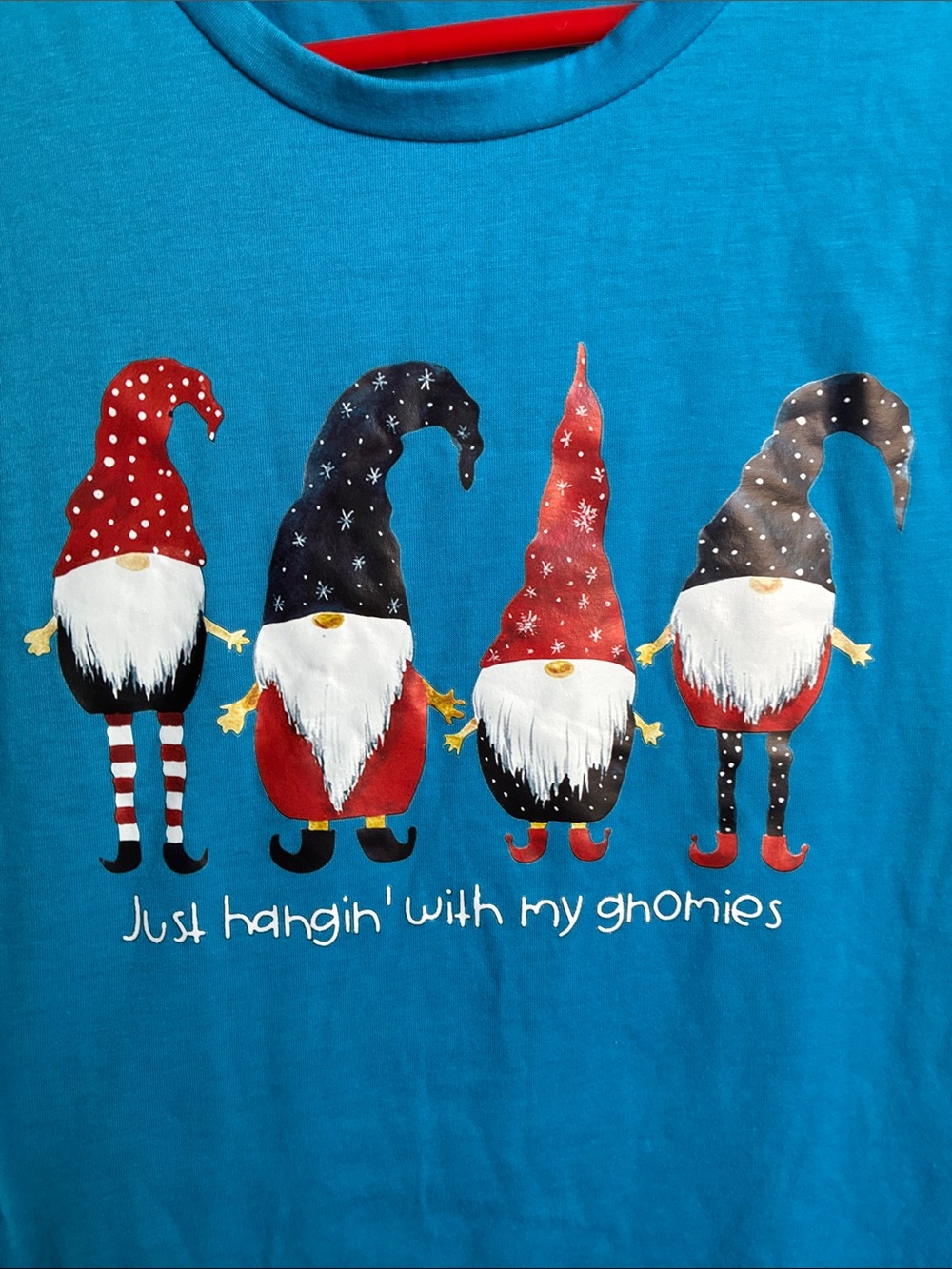Blue Gnome Graphic Tee - Just Hangin' With My Gnomies